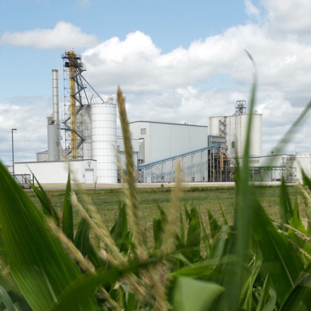 Building behind corn