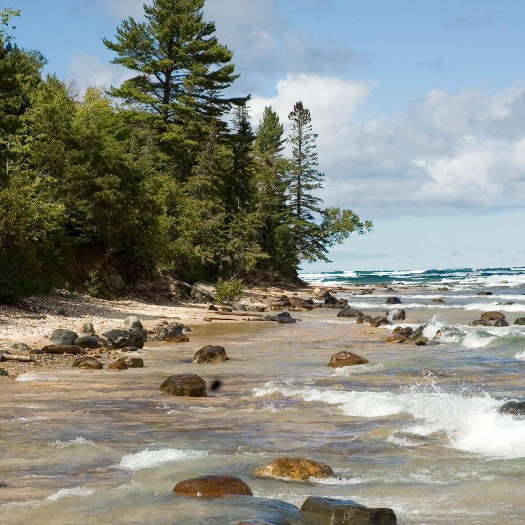 Lake edge with trees and rocks