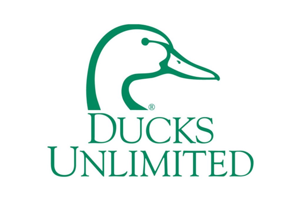 Ducks Unlimited Logo