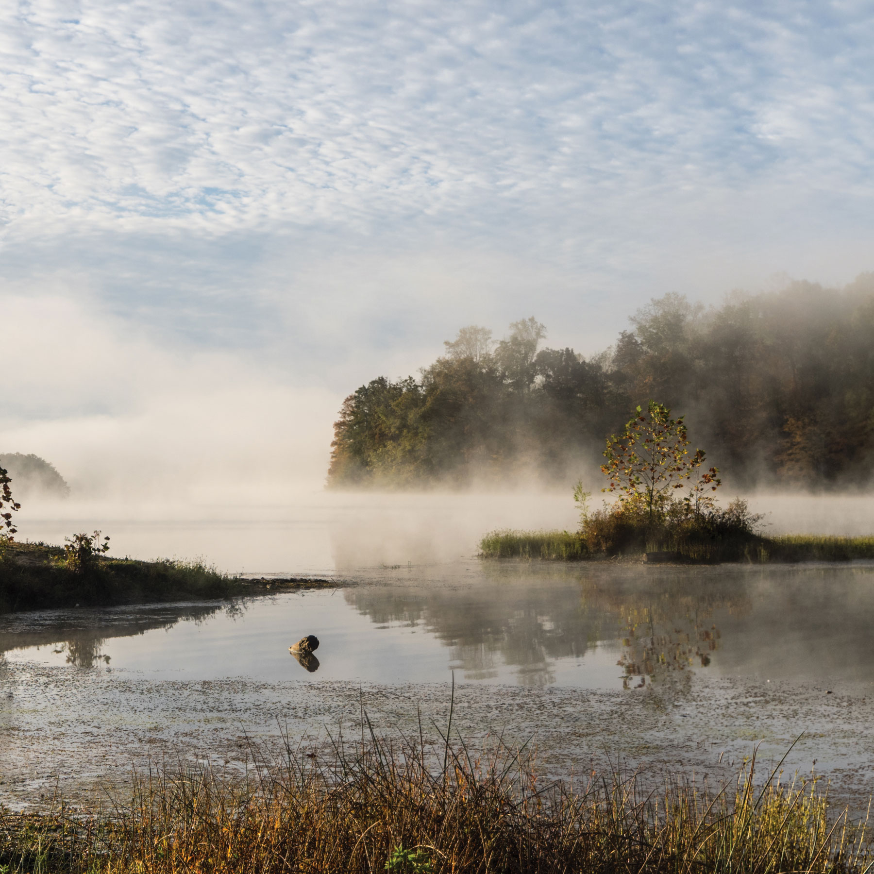 Misty Lake